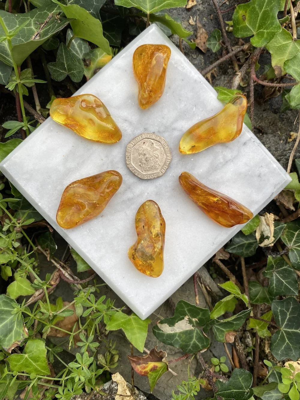 @ 1 Amber GRIDSET 4 2-3G1.JPG