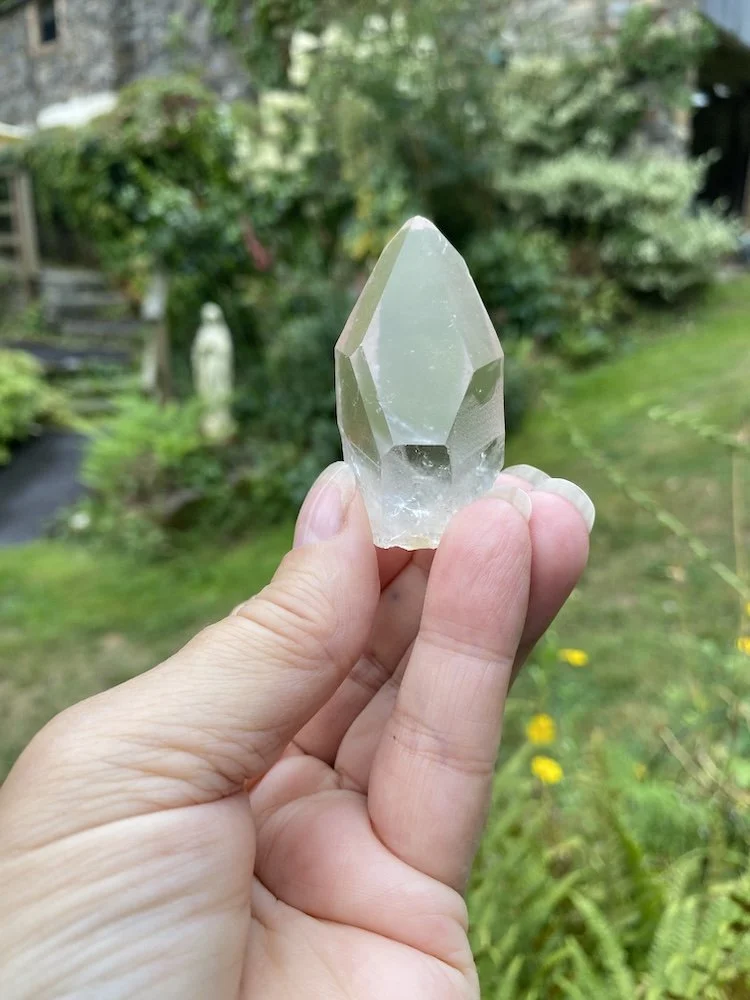 Lemurian £1516.JPG