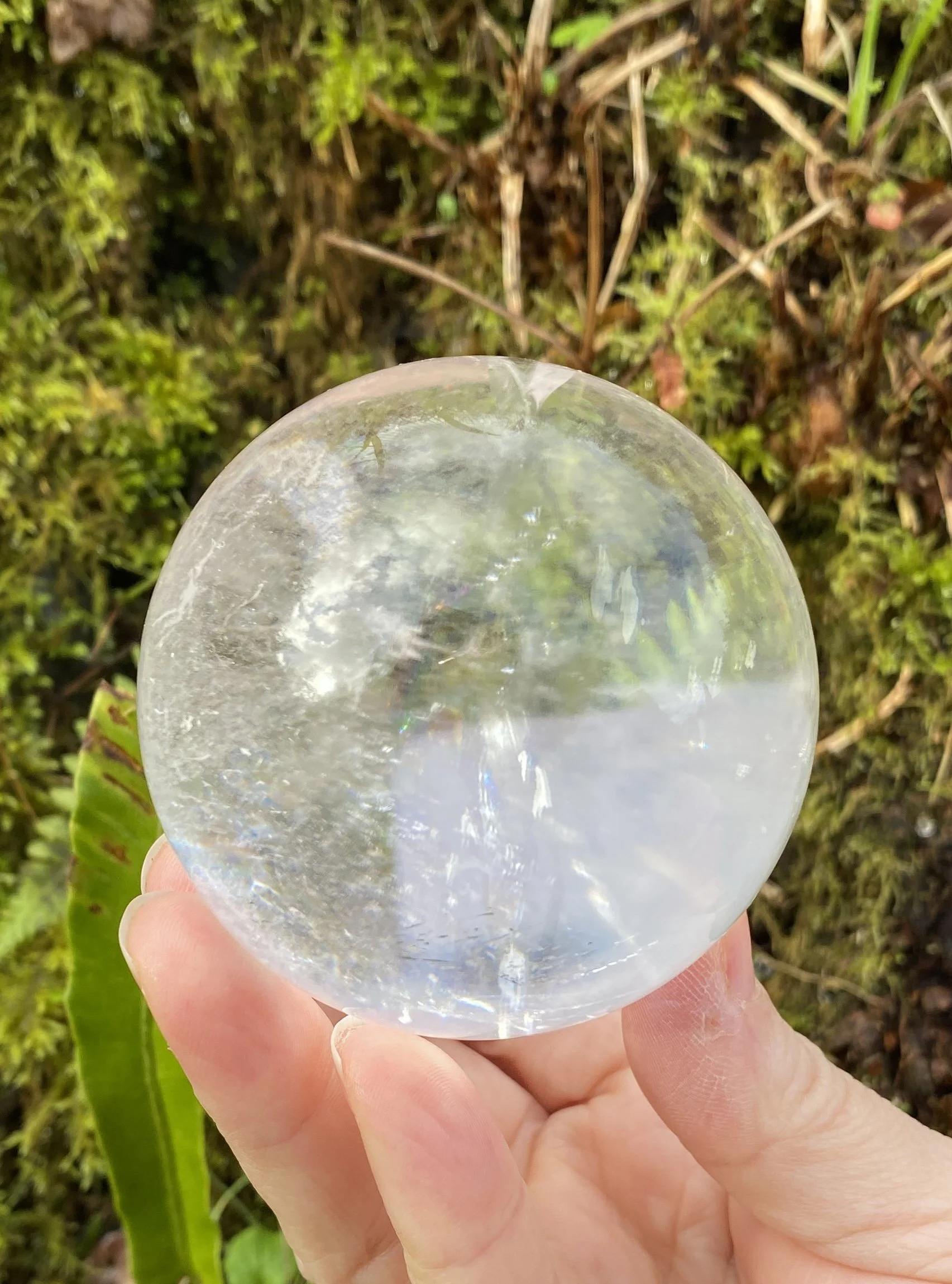 Lemurian 5A £2807.JPG