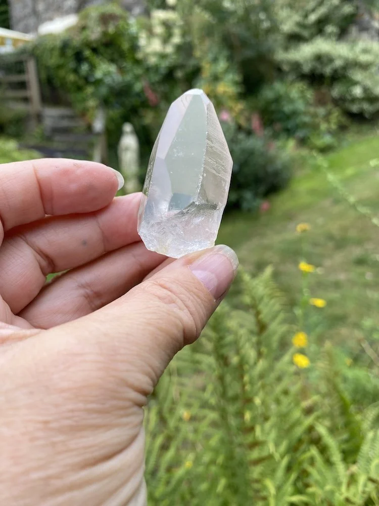 Lemurian £1519.JPG
