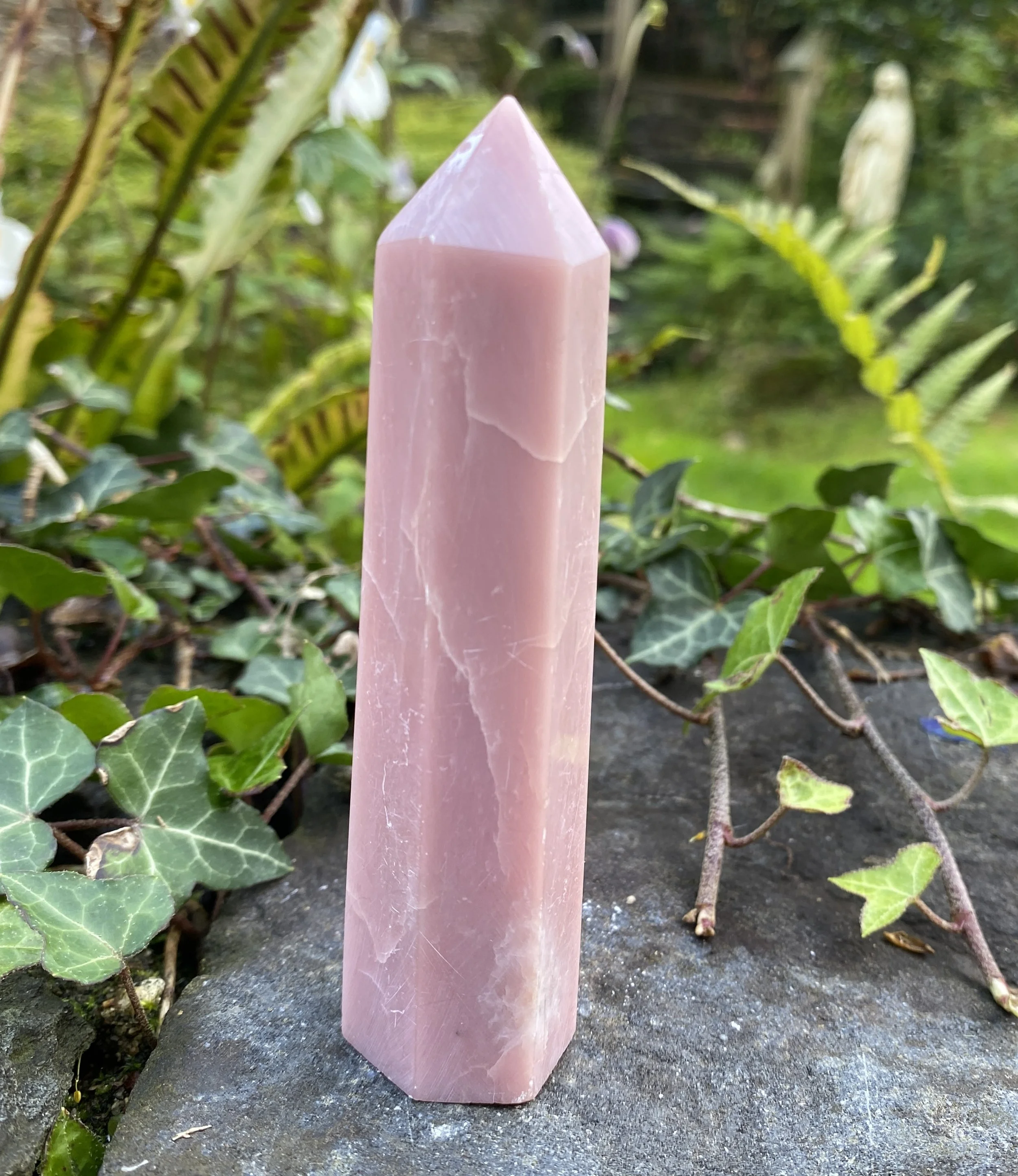 ZZ Rose Opal tower1.JPG