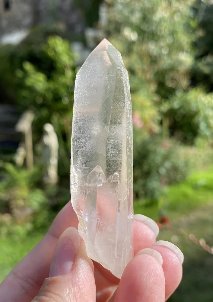 Lemurian8.JPG