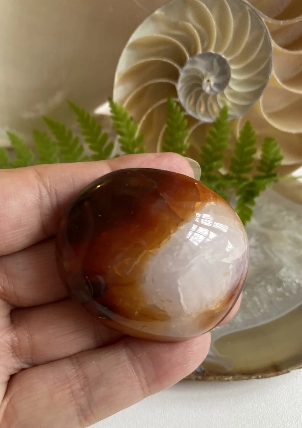 CARNELIAN8.JPG