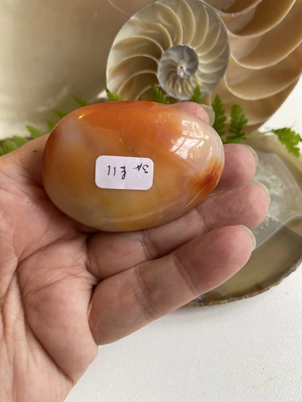 CARNELIAN5.JPG