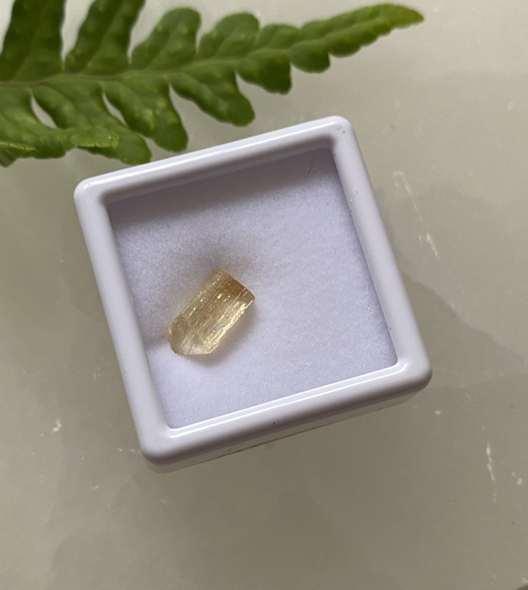 Gold Topaz 1T3.JPG
