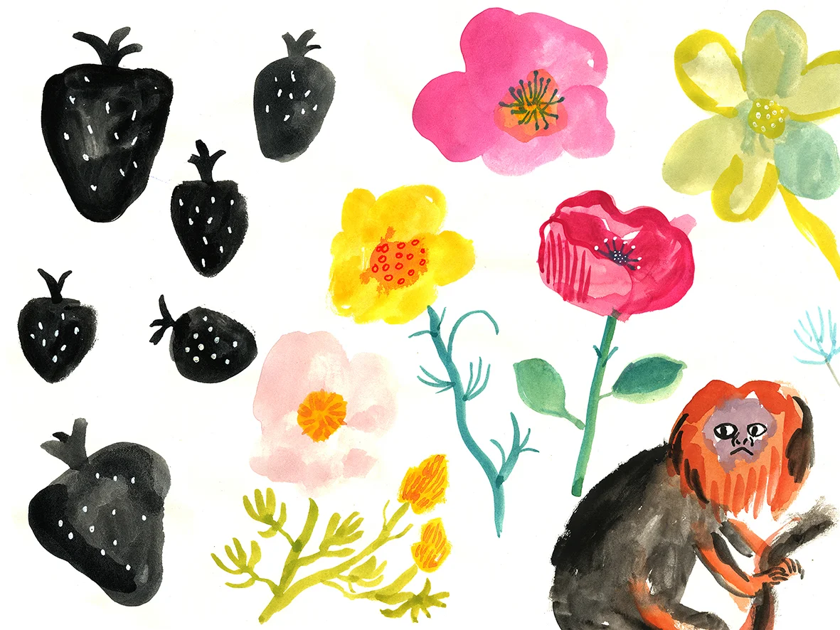 Strawberries