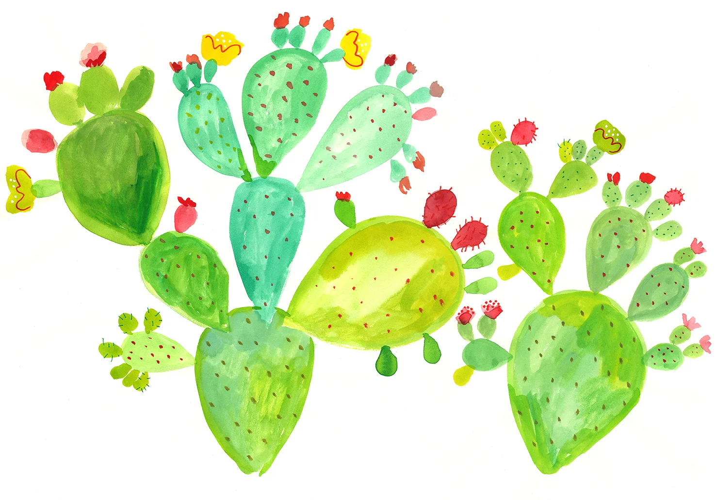 cactus