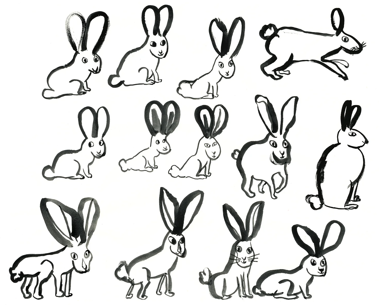 Rabbits