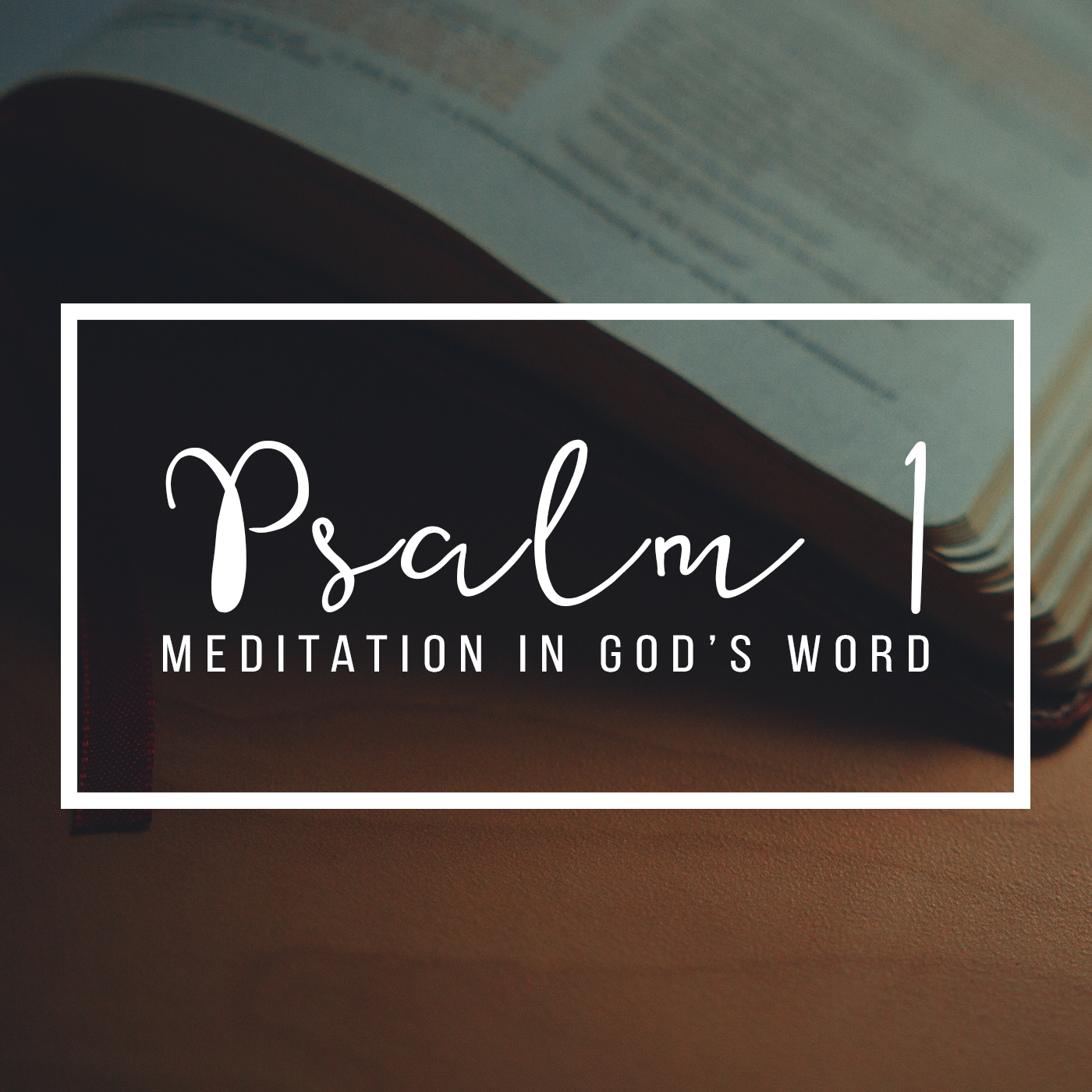 Psalm 1:  Meditation in God's Word