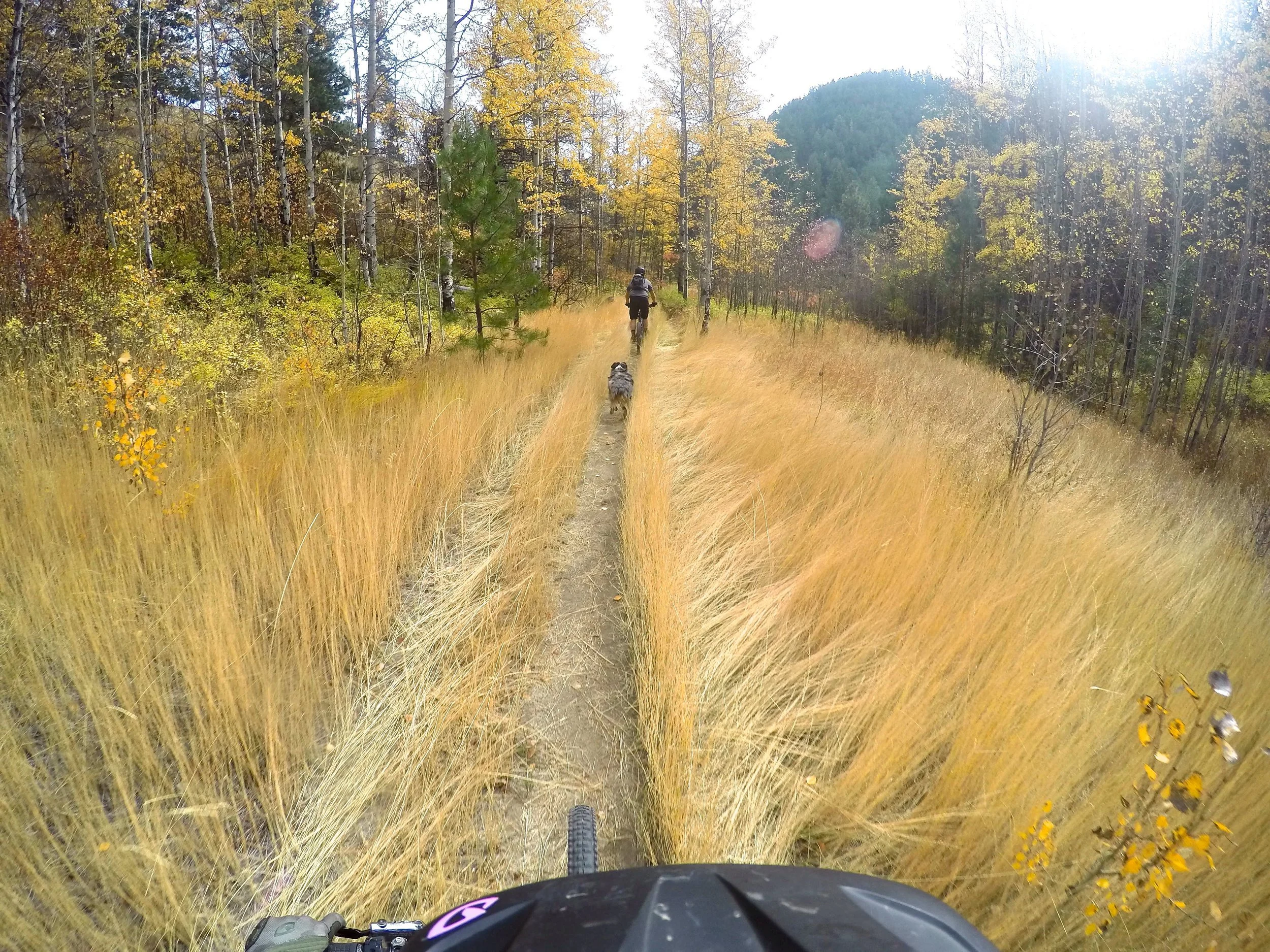 Mellow fields of gold, mountain biking near Wenatchee, Washington.