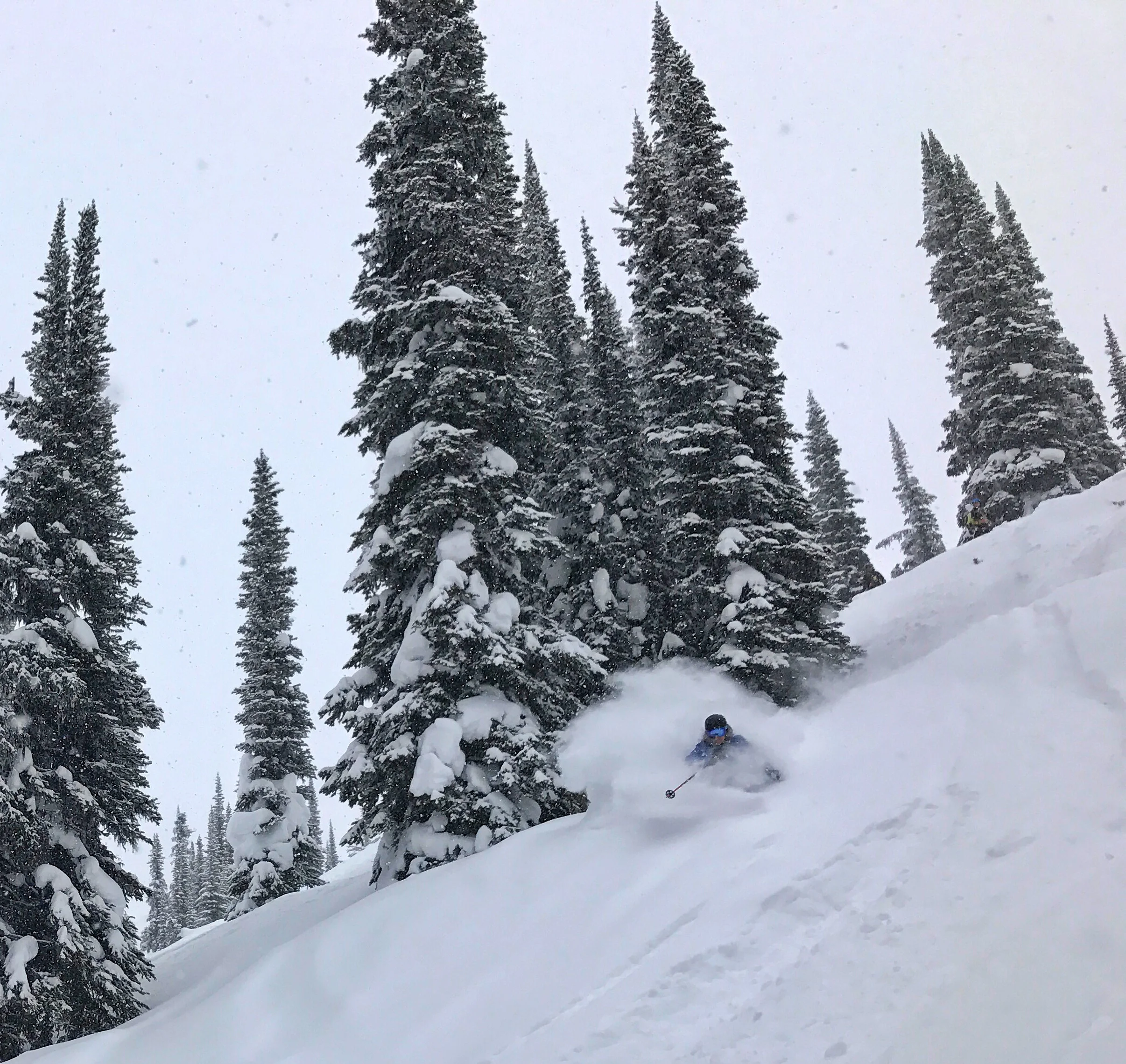 This is Izzy, who we recently skied with in Revelstoke--she's 7 months pregnant in this photo. We could barely keep up with her!