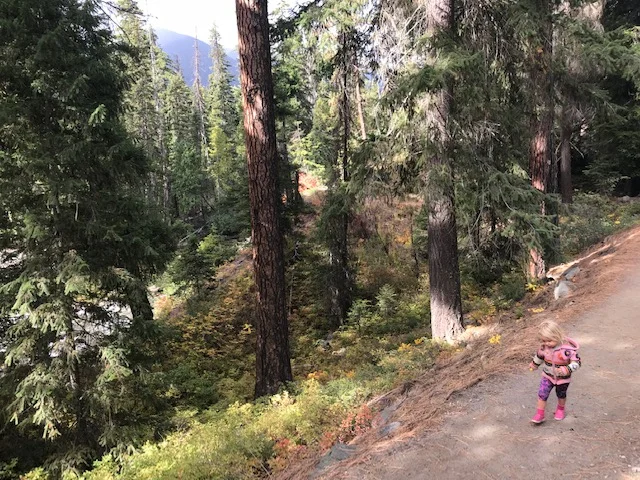 Baby steps, then toddler steps.