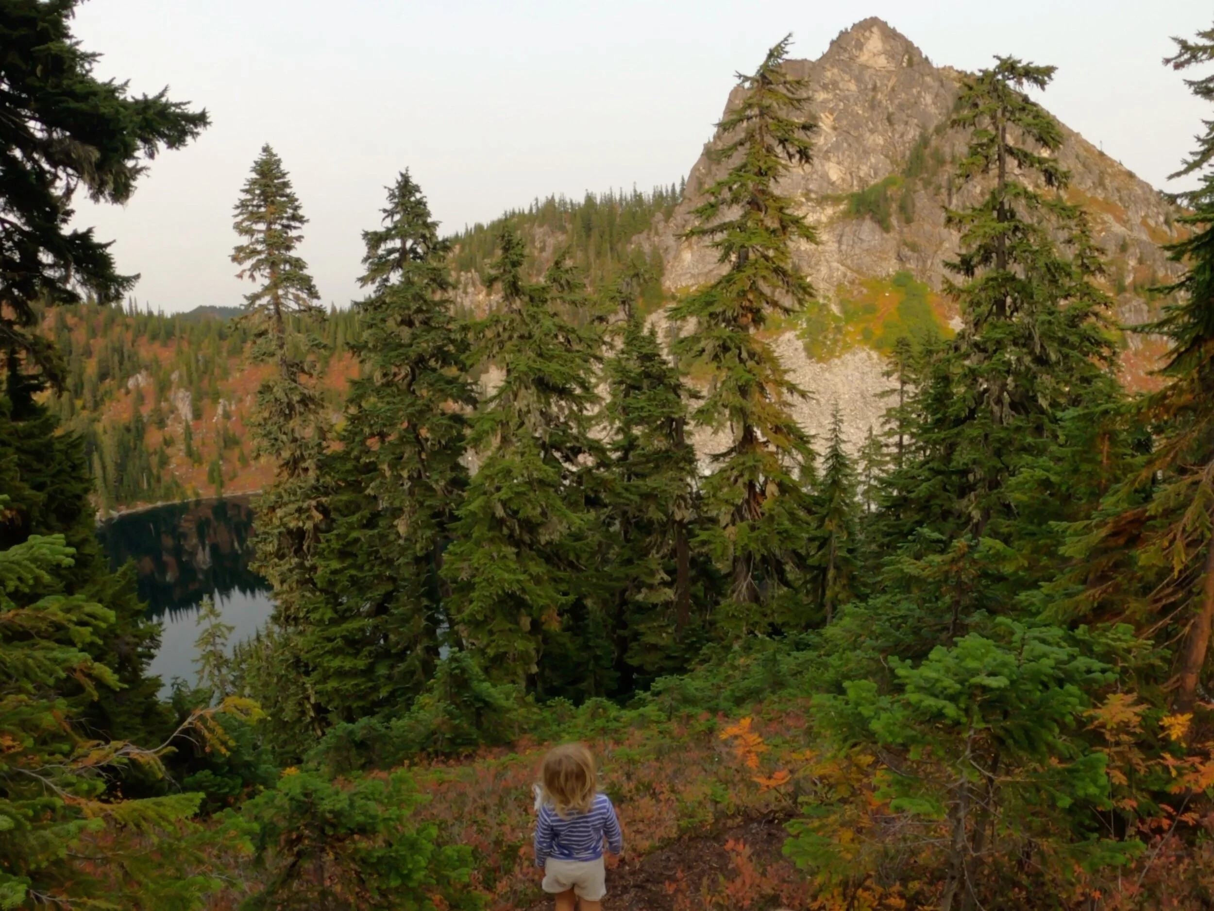 Random Goal, Group Reward