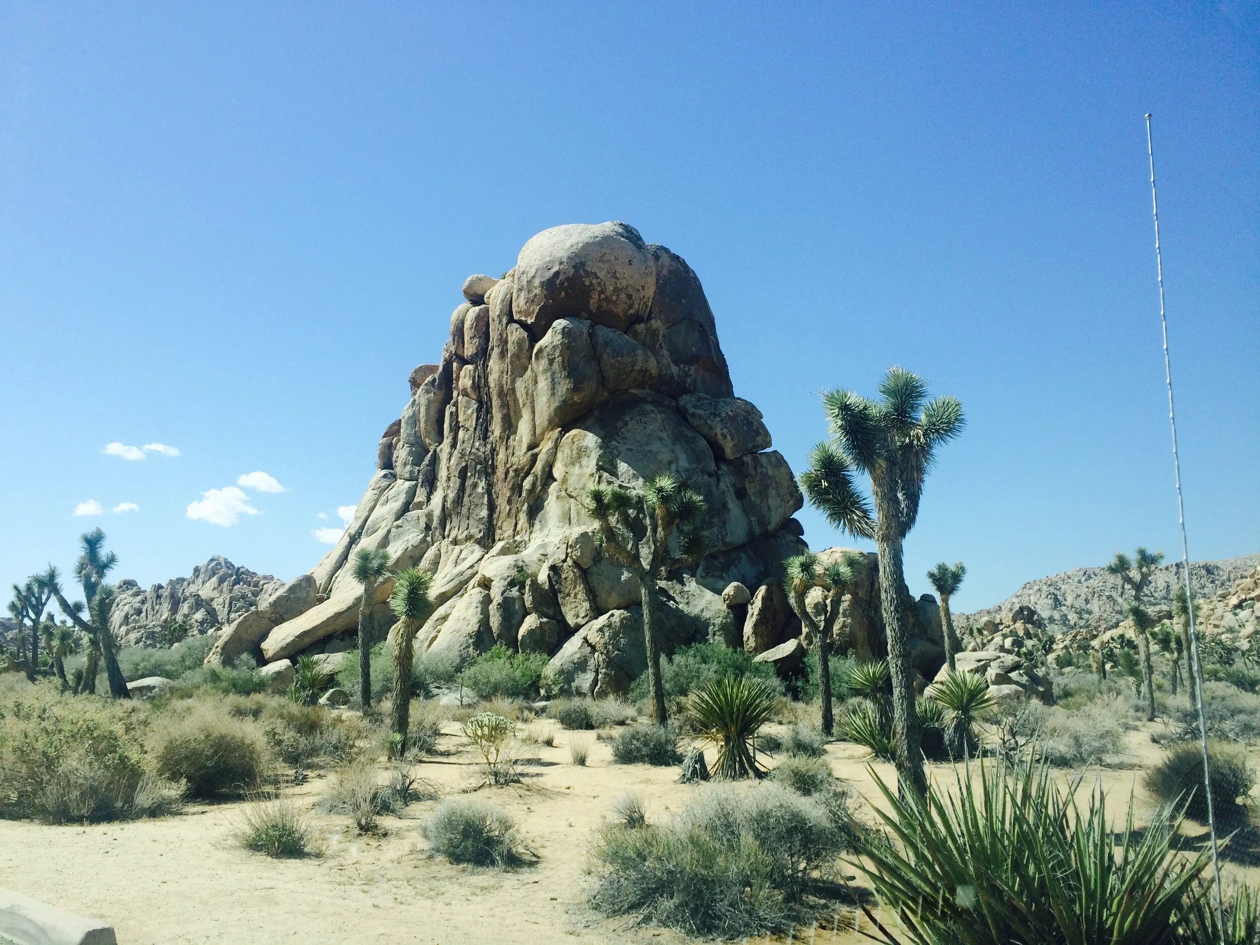 The Easiest, Best Soft Serve Ice Cream Recipe (plus Easy Chocolate Shell Topping)