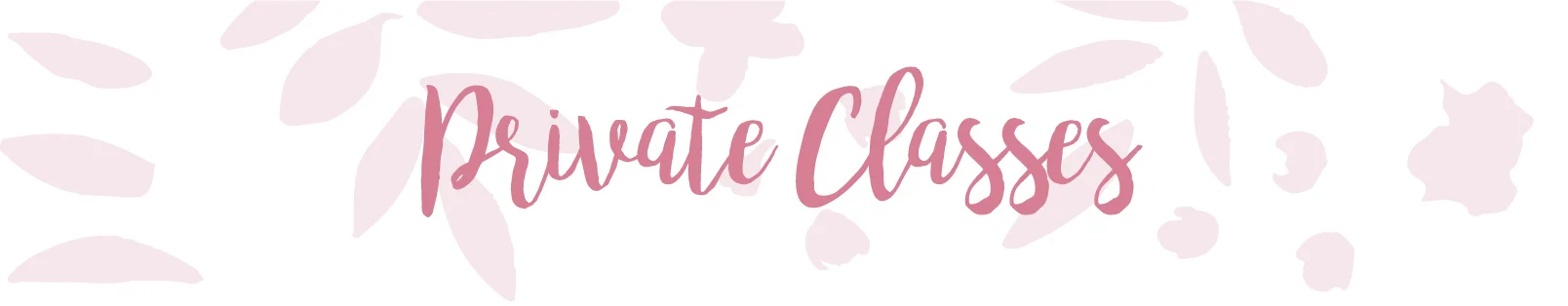 Private Classes header.jpg