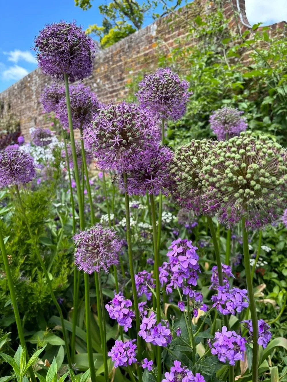 Spring Renewal Yoga Retreat Sussex 15-17 May 2026 🌺 🦙 🌳 🐑