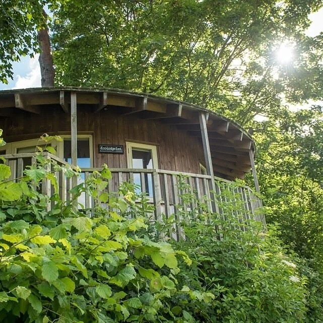 Which one will you choose? Sussex 15-17 May 2026:

🌳 Eco Lodge Treehouse
Huge treehouse with amazing views from your bed and 360 balcony
En-suite bathroom
Kitchenette

🏡 Oast House Grade II Listed Building 
2 bedrooms
Bathroom with shower
Bathroom 