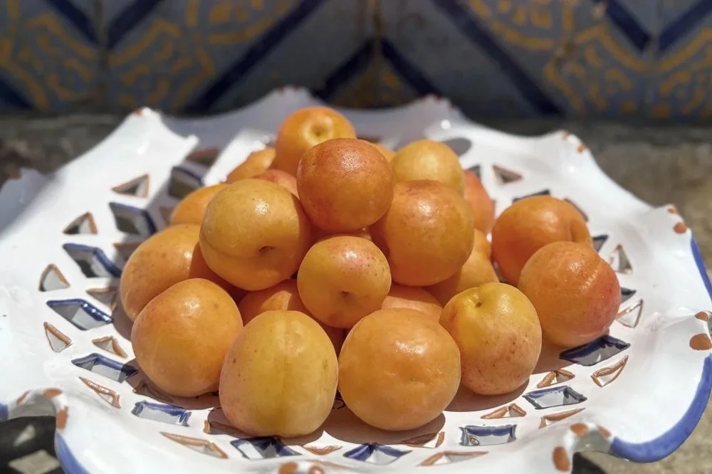 The colours of Sicily! There are 2 lovely double/twin rooms available for my Yoga &amp; Storytelling Retreat on the stunning West Coast of Sicily 03-10 October 2026&hellip;..

www.yoga-tastic.co.uk