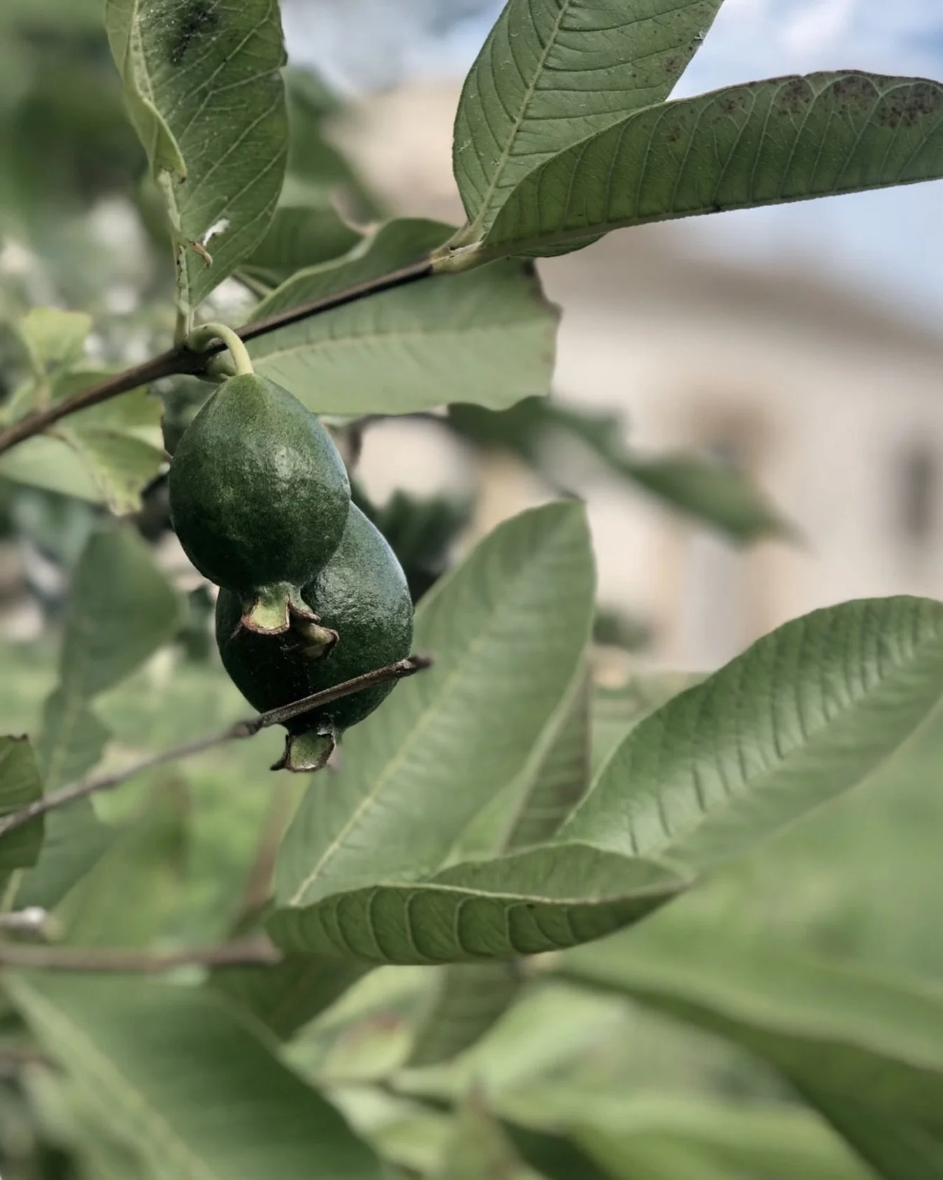 Yoga &amp; Storytelling West Coast of Sicily 03-10 October 2026