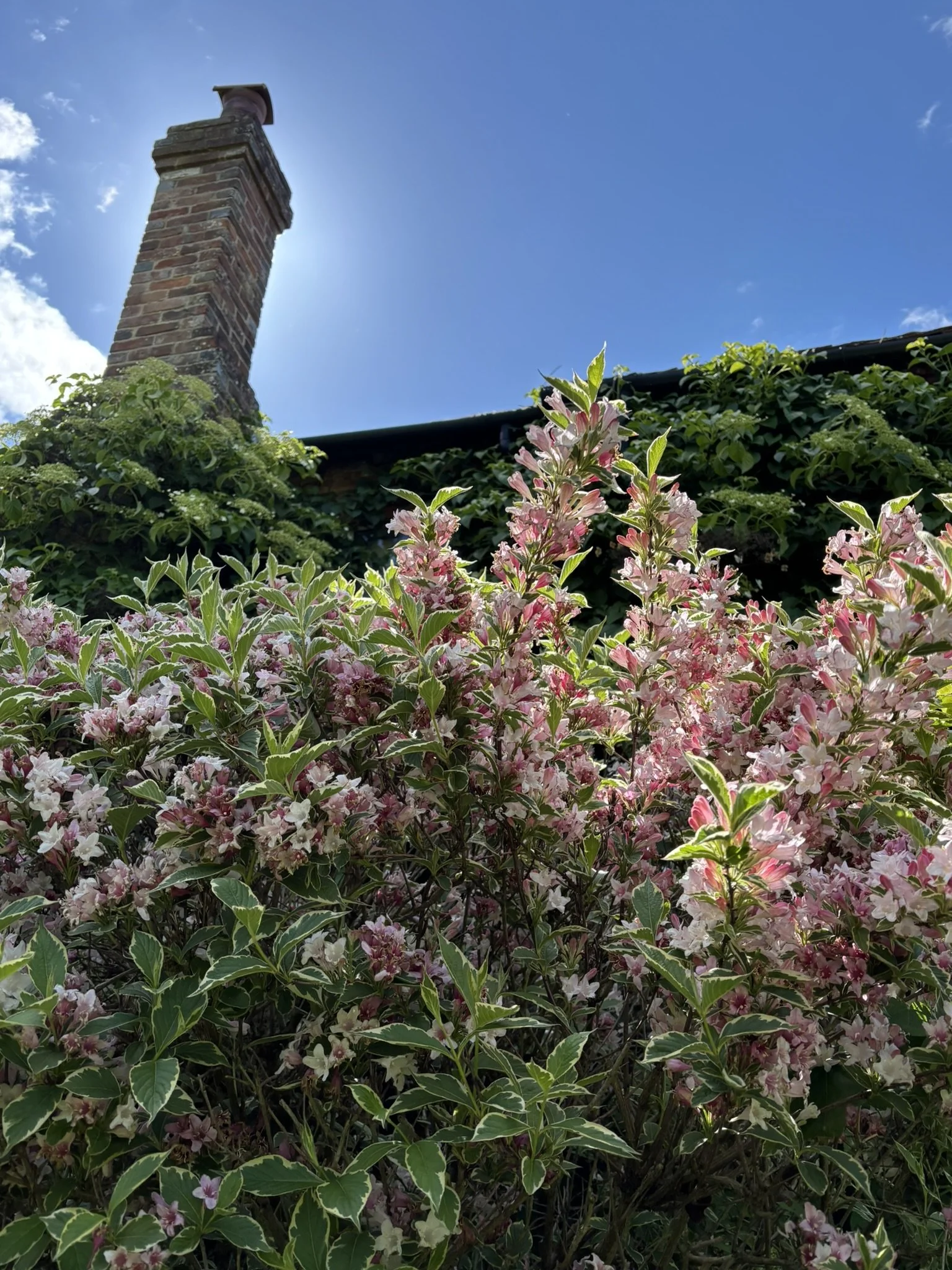 IMG_5795.JPEG