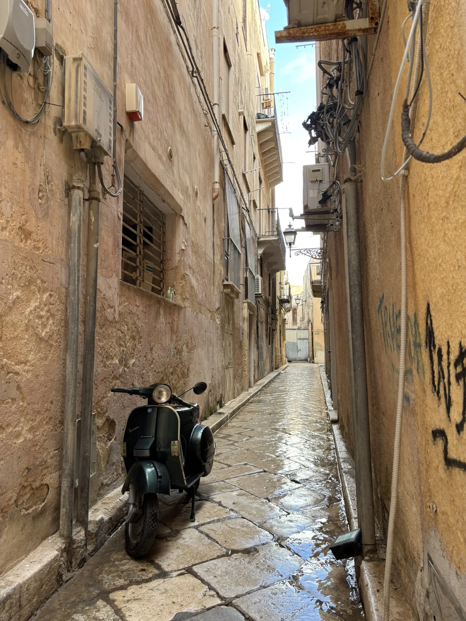 IMG_0184.JPEG