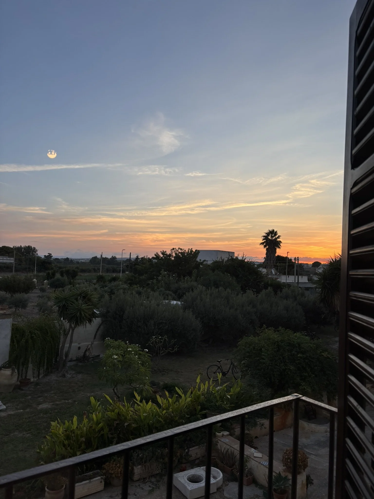 IMG_9768.JPEG