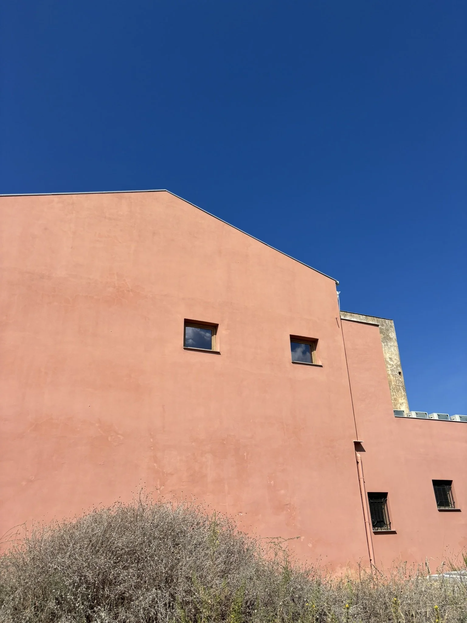 IMG_9729.JPEG