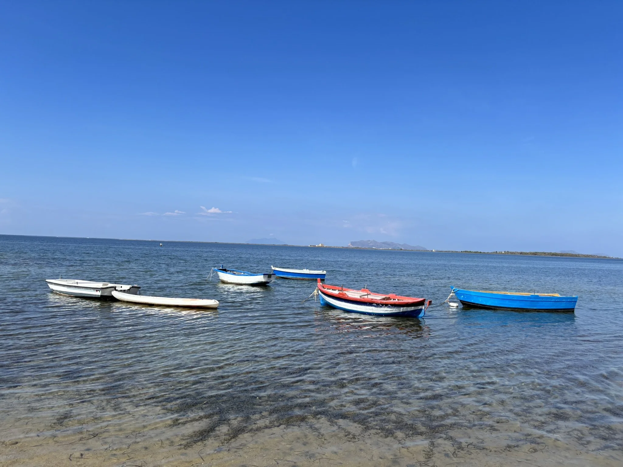 IMG_9712.JPEG