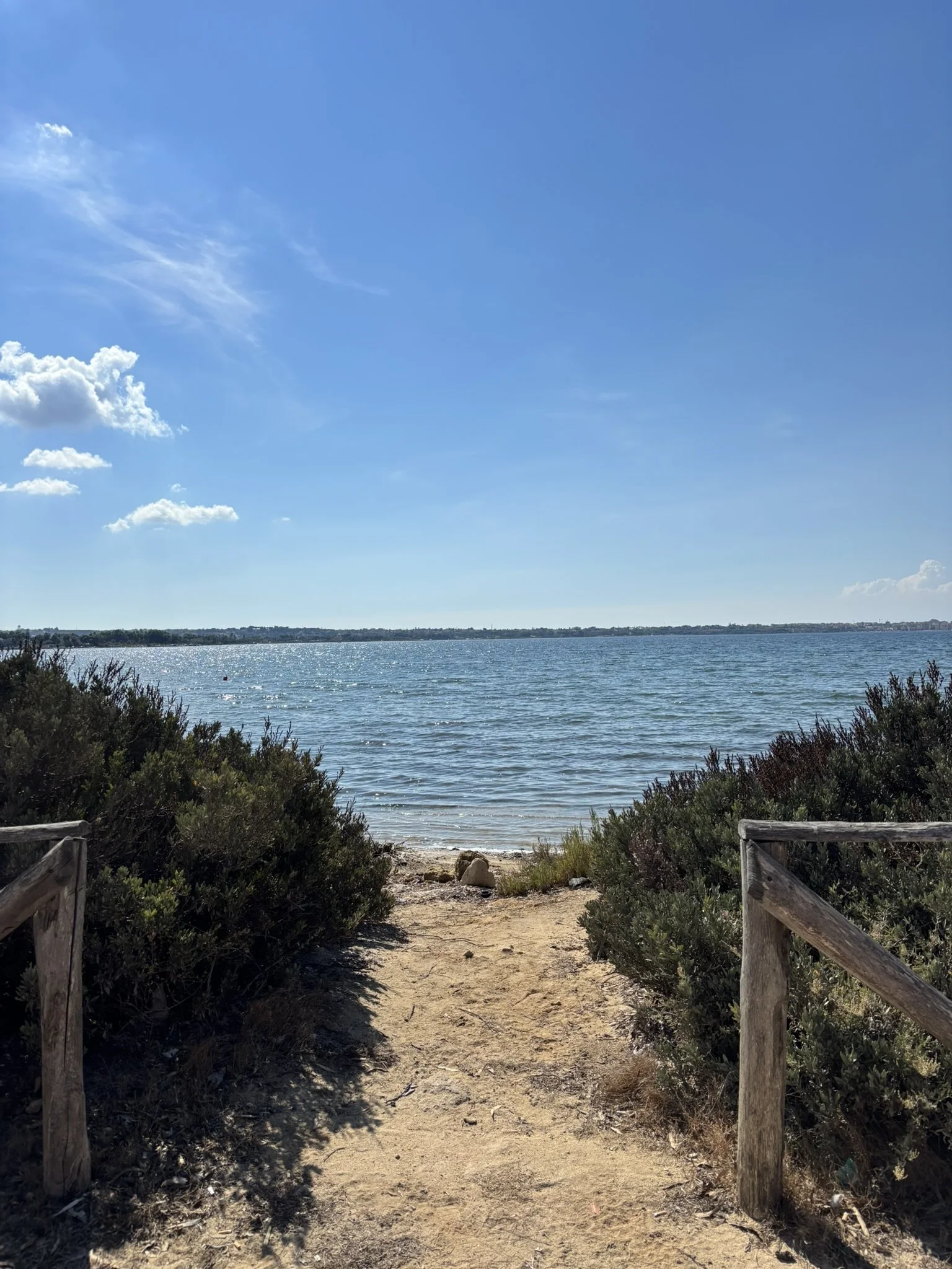 IMG_9705.JPEG