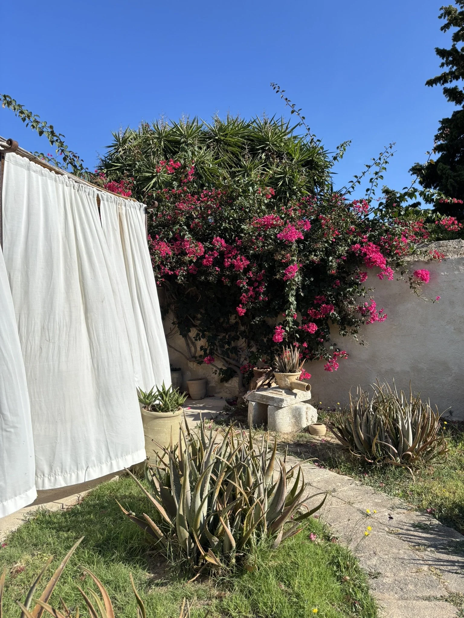 IMG_9688 (1).JPEG