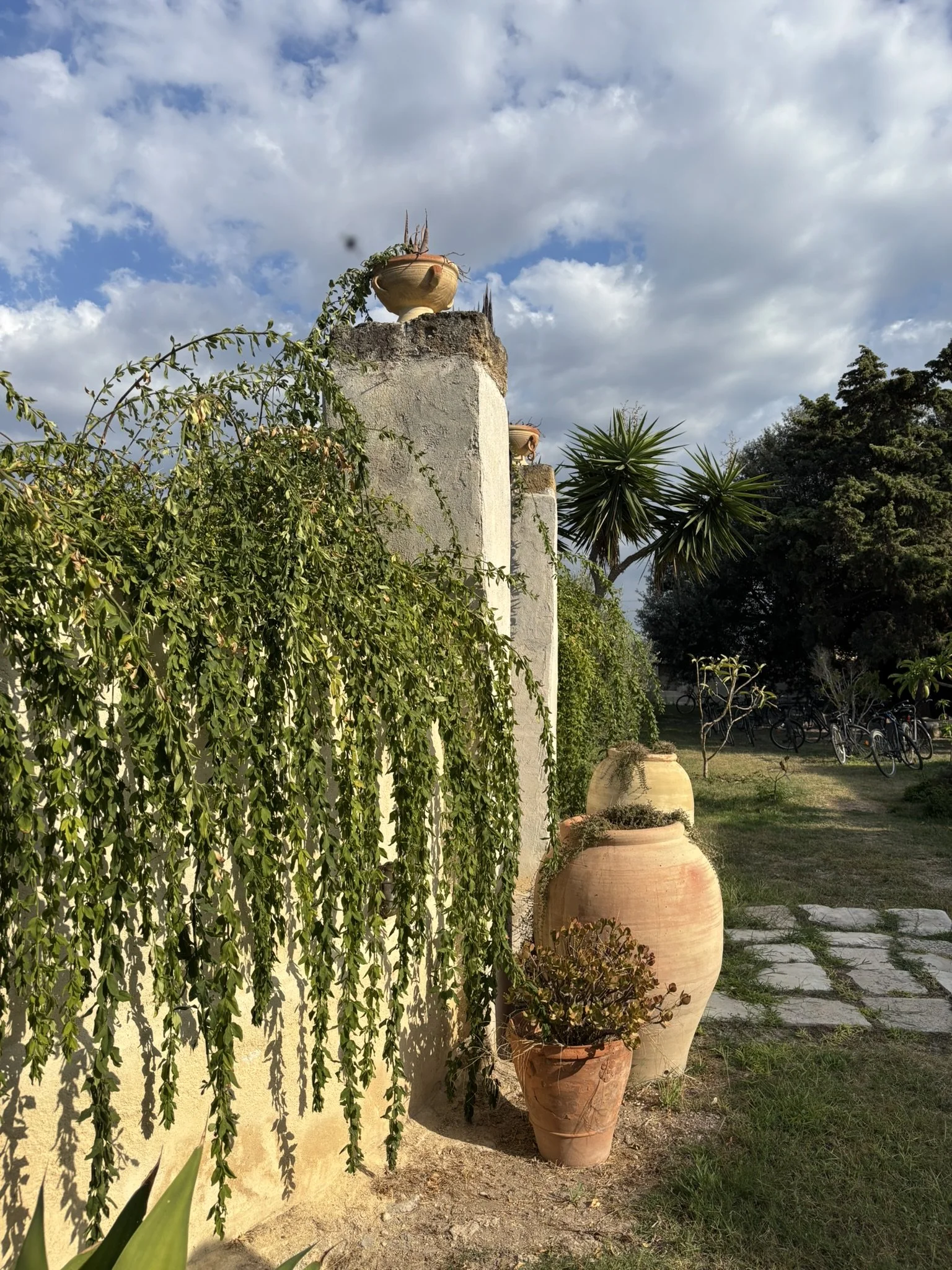 IMG_9544.JPEG