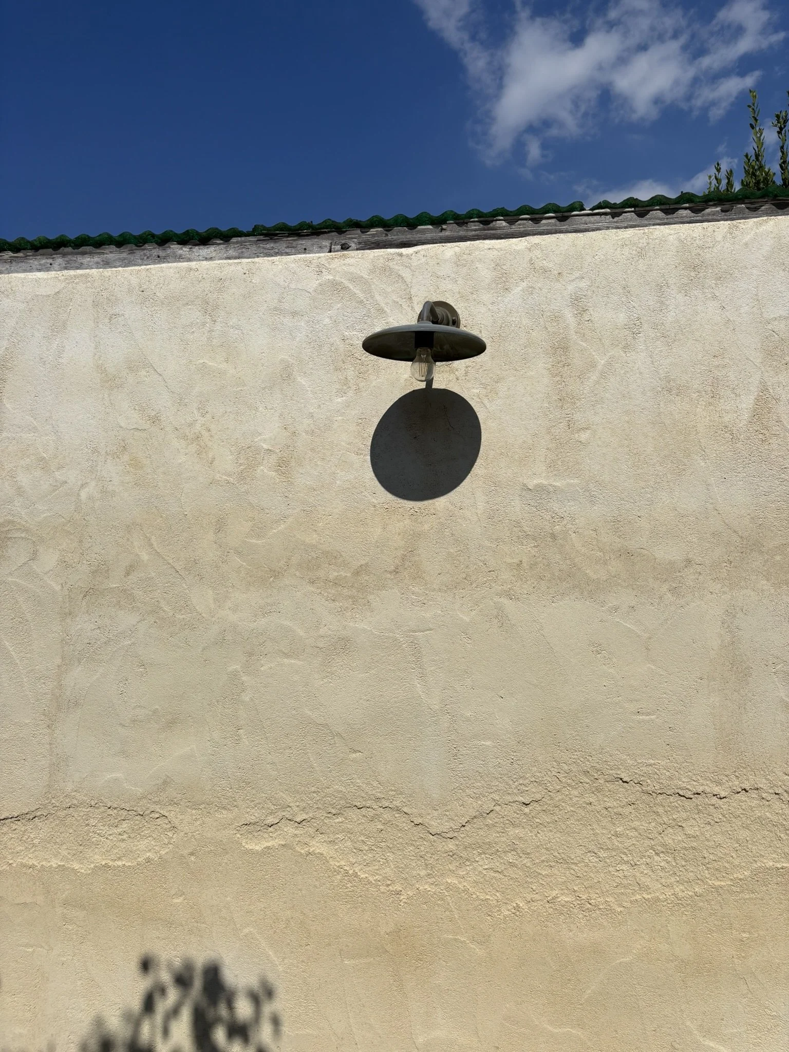IMG_9454.JPEG
