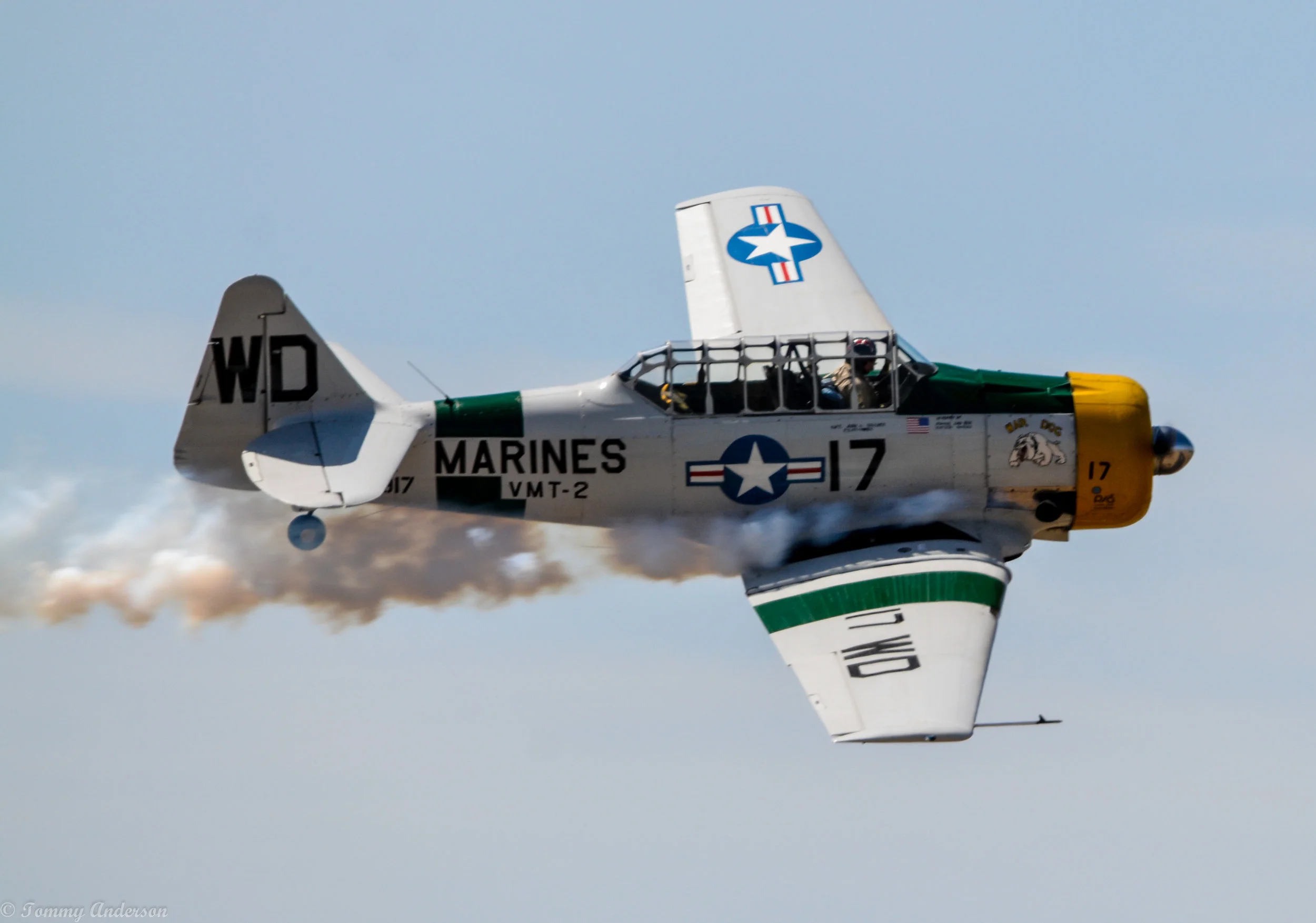 John Collver Wardog 3.jpg