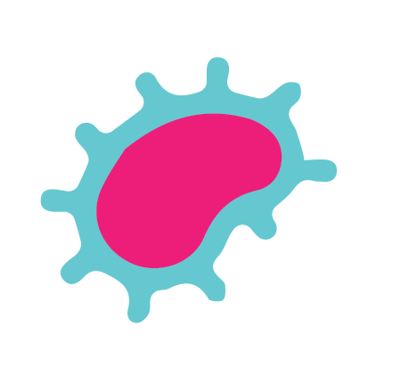 Organism-11.png