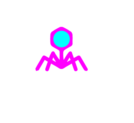 Organism-14.png