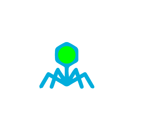 Organism-23.png