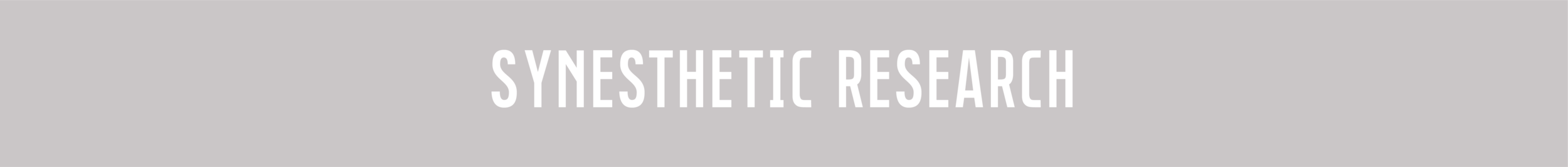 Thesis Design Attributes-10.png