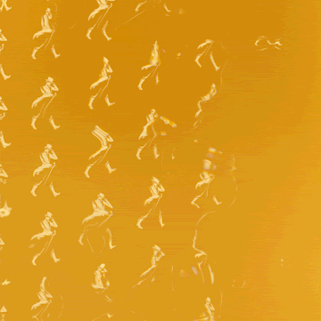 distorted 5.gif