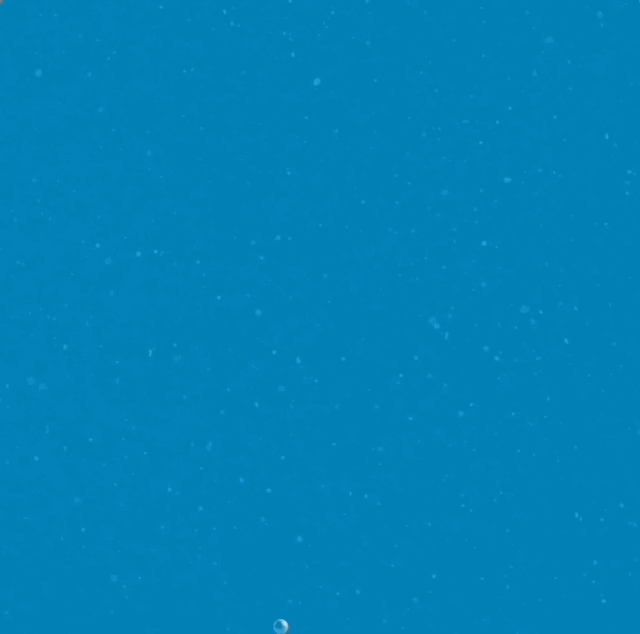 McD_HM_TLM_Adult_Photobooth_Select_7.gif