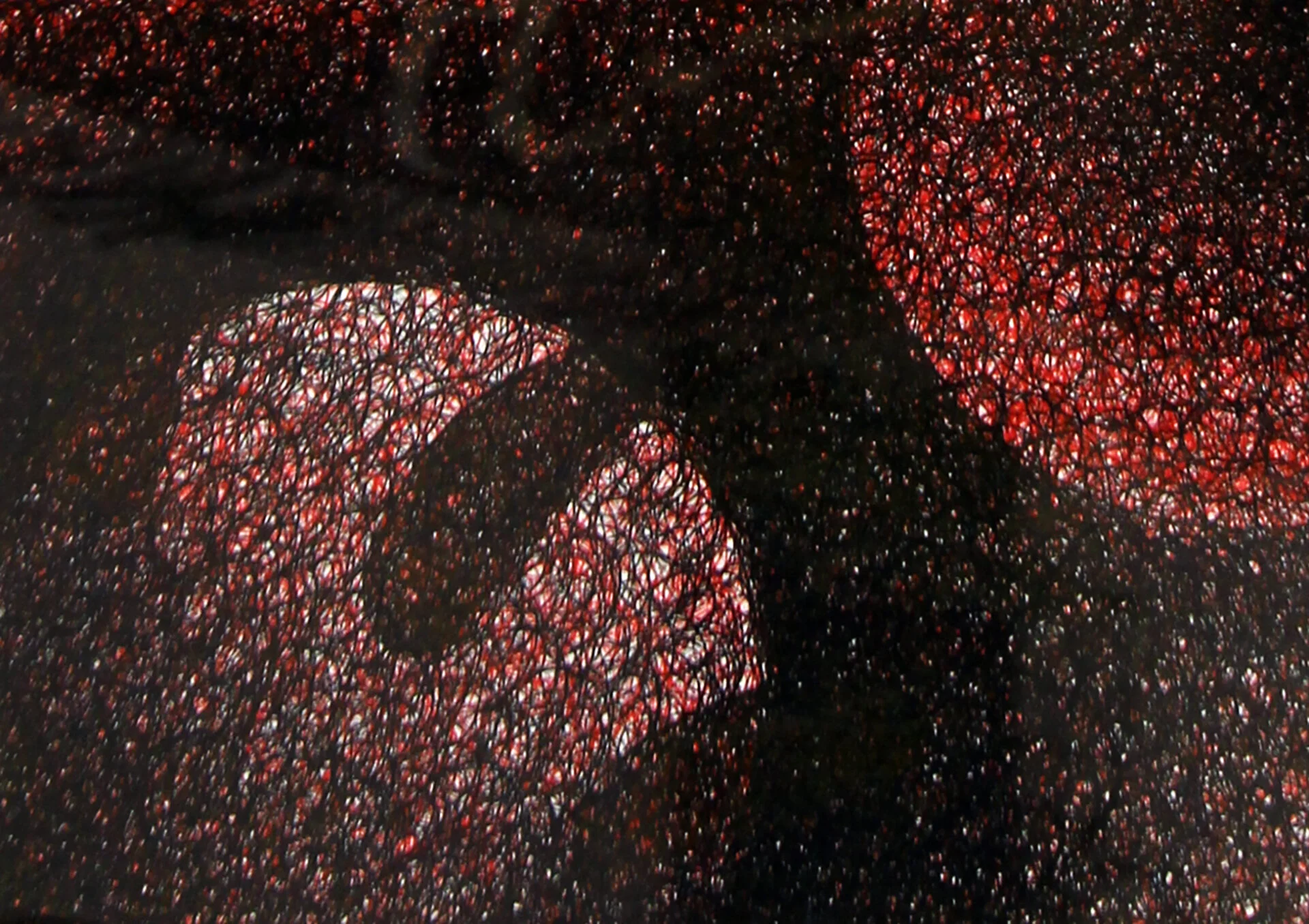 circles of red and black squiggle.jpg
