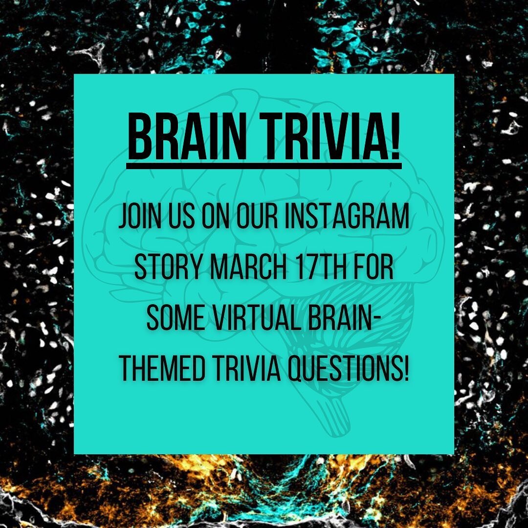 Need something low-stress to do on Thursday March 17th? Want to stretch your brain? Well, BAW has the thing for you! Check out our Stories throughout the day on March 17th for some brain-themed trivia questions and test your knowledge! 🧠❔🧠