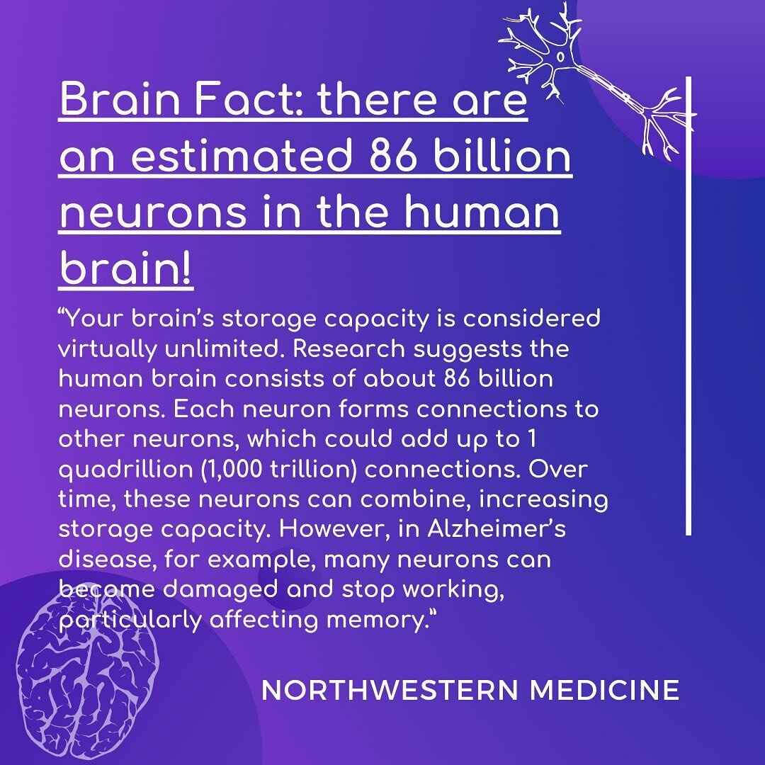 On to our second brain fact for this week! Have you ever wondered about the number of cells that make up your brain? Researchers at the Federal University of Rio de Janeiro have estimated that there are approximately 86 billion neurons in the human b