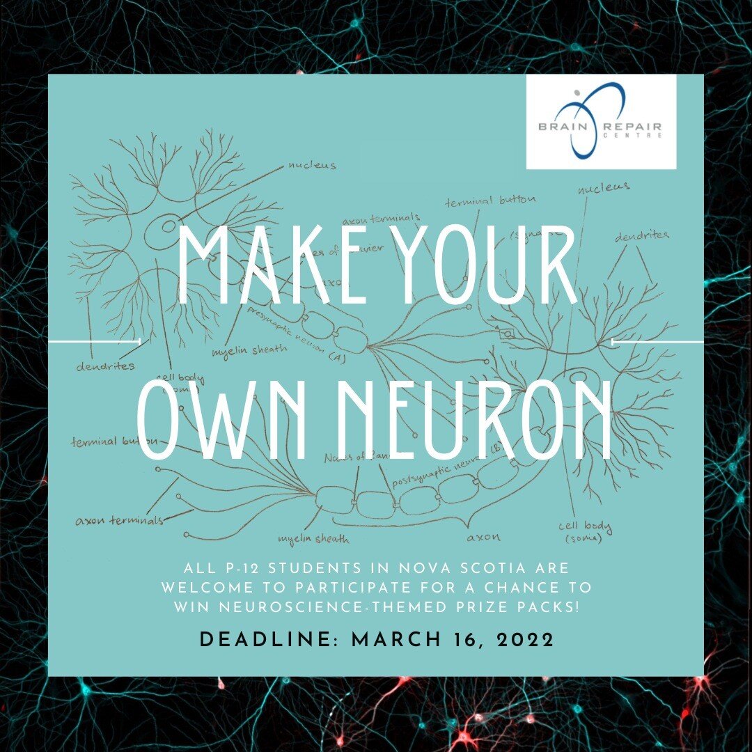 Calling all P-12 students in Nova Scotia! Show us your creativity by participating in the Make Your Own Neuron contest sponsored by the Brain Repair Centre! This contest is all about neurons, which are the cells, or building blocks, that make up the 