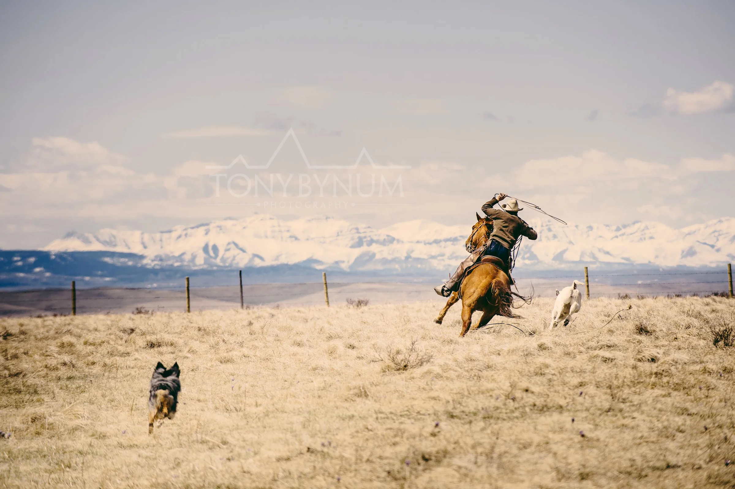 cowboys_bynum-6617.jpg