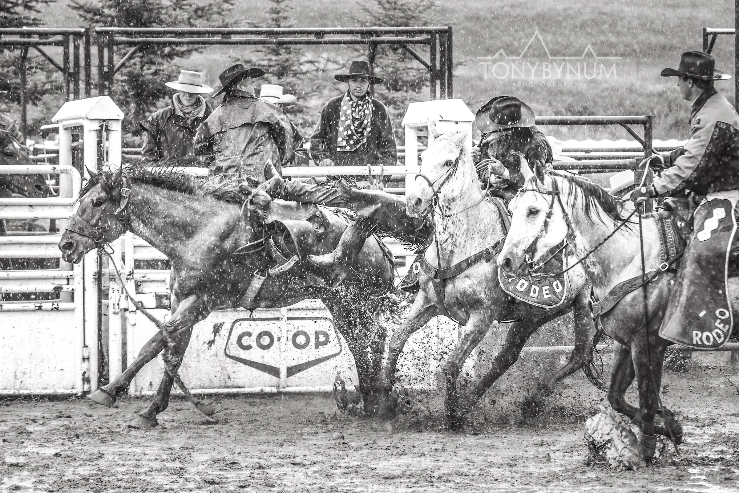 cowboys_bynum-3848.jpg