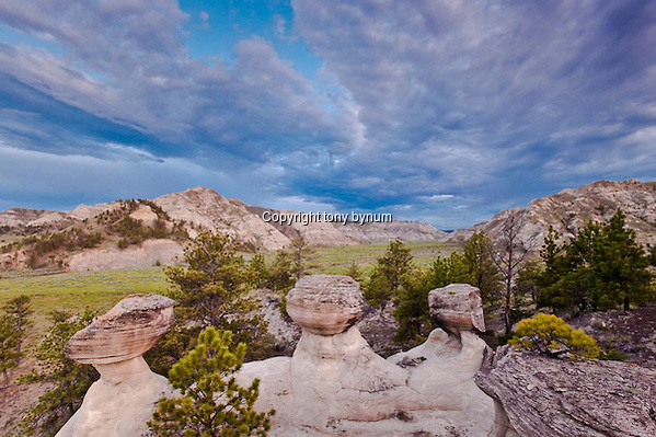 missouri river breaks, bull wacker canyon. Badlands and big sky's. Montana Photographs (tony bynum/tonybynum.com)