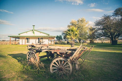An old wagon resting in the yard in front of the hunting lodge on the Los Molles Ranch. La Pampa, Argentina ©tonybynum.com