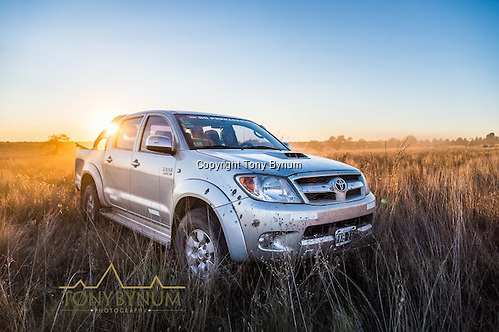 Toyota Hilux pick is the truck of choice for hunting in Argentina. Los Molles Ranch. La Pampa, Argentina ©tonybynum.com