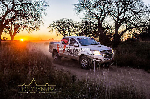 Hilux Toyota pickup with warn winch, early morning driving in La Pampa, Argentina. ©tonybynum.com