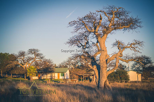 Hunters quarters on the Los Molles, Ranch. La Pampa, Argentina ©tonybynum.com